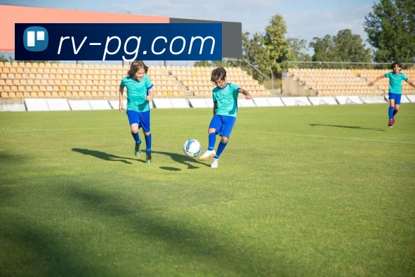 pg电子平台生态图